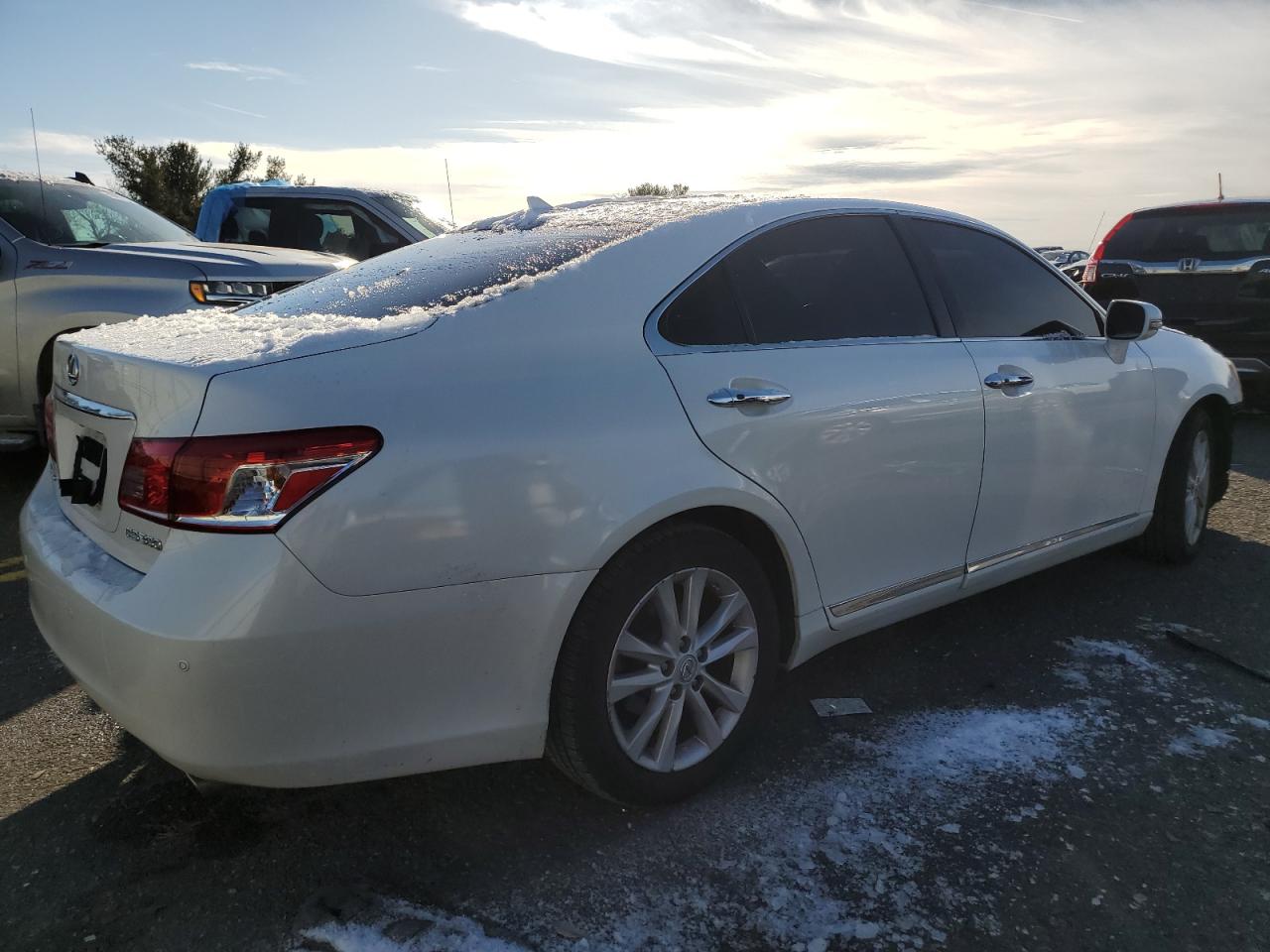 Lot #3034282121 2010 LEXUS ES 350