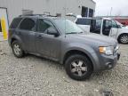 Lot #3027141866 2011 FORD ESCAPE XLS