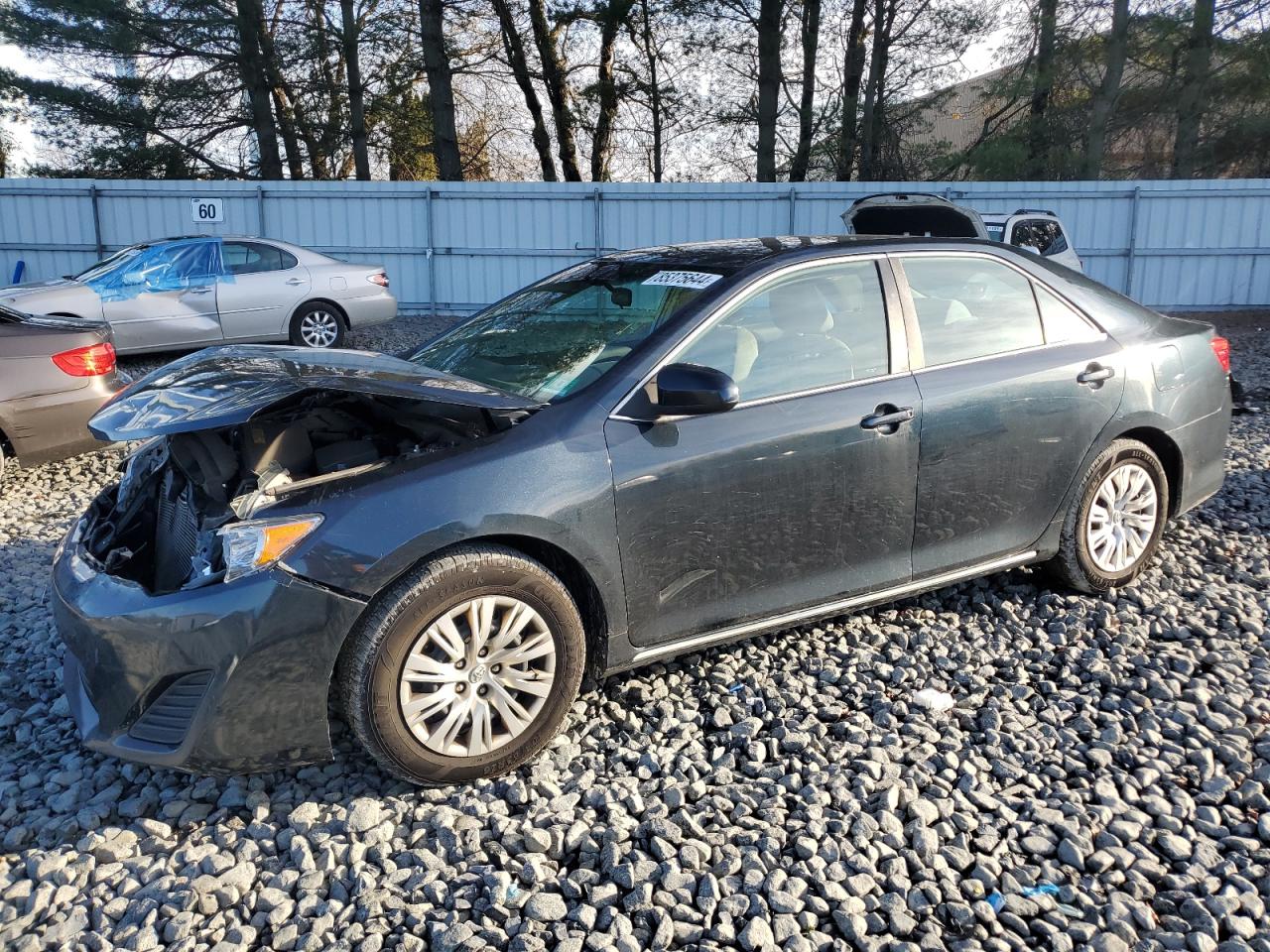 Lot #3040809761 2014 TOYOTA CAMRY L