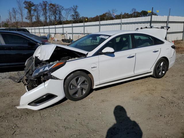 2017 HYUNDAI SONATA PLU - KMHE14L25HA065208