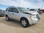 Lot #3024226799 2010 FORD ESCAPE XLT