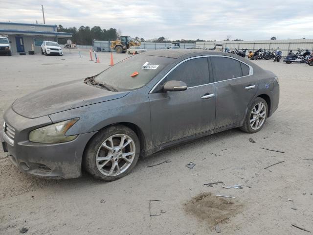 NISSAN MAXIMA