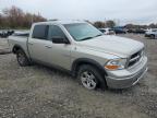 Lot #3024581701 2009 DODGE RAM 1500