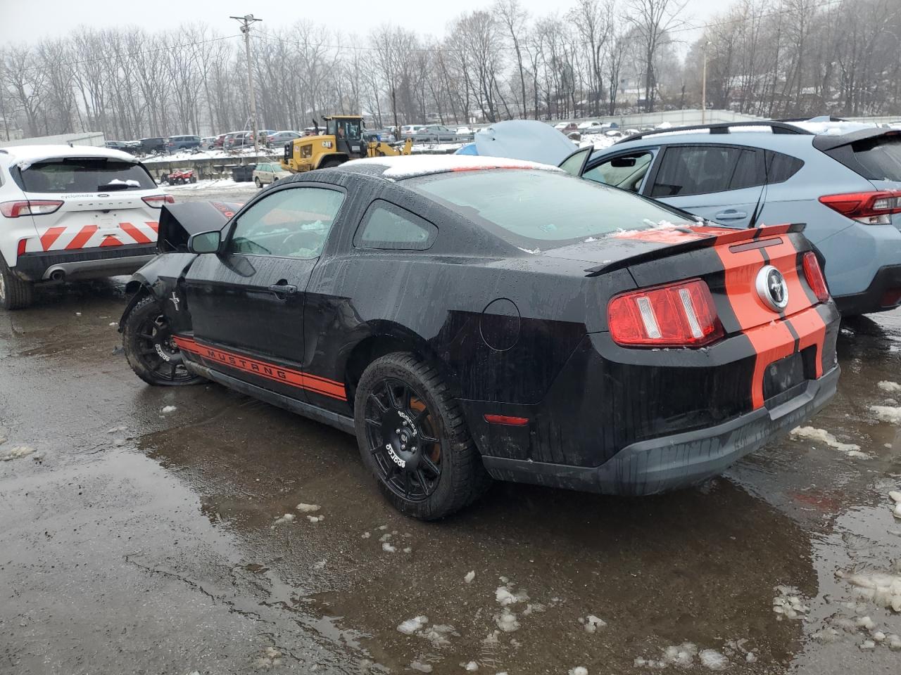 Lot #3029348687 2010 FORD MUSTANG