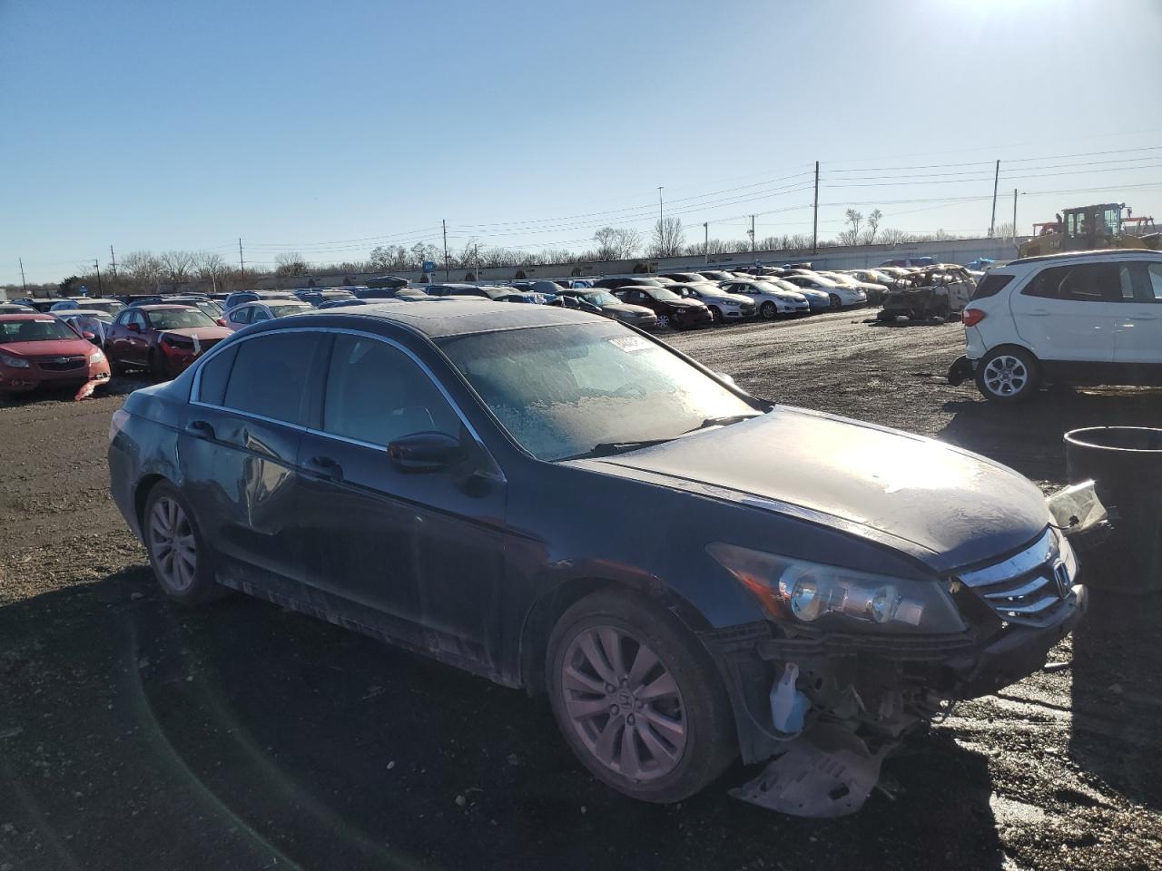 Lot #3028535927 2011 HONDA ACCORD EXL