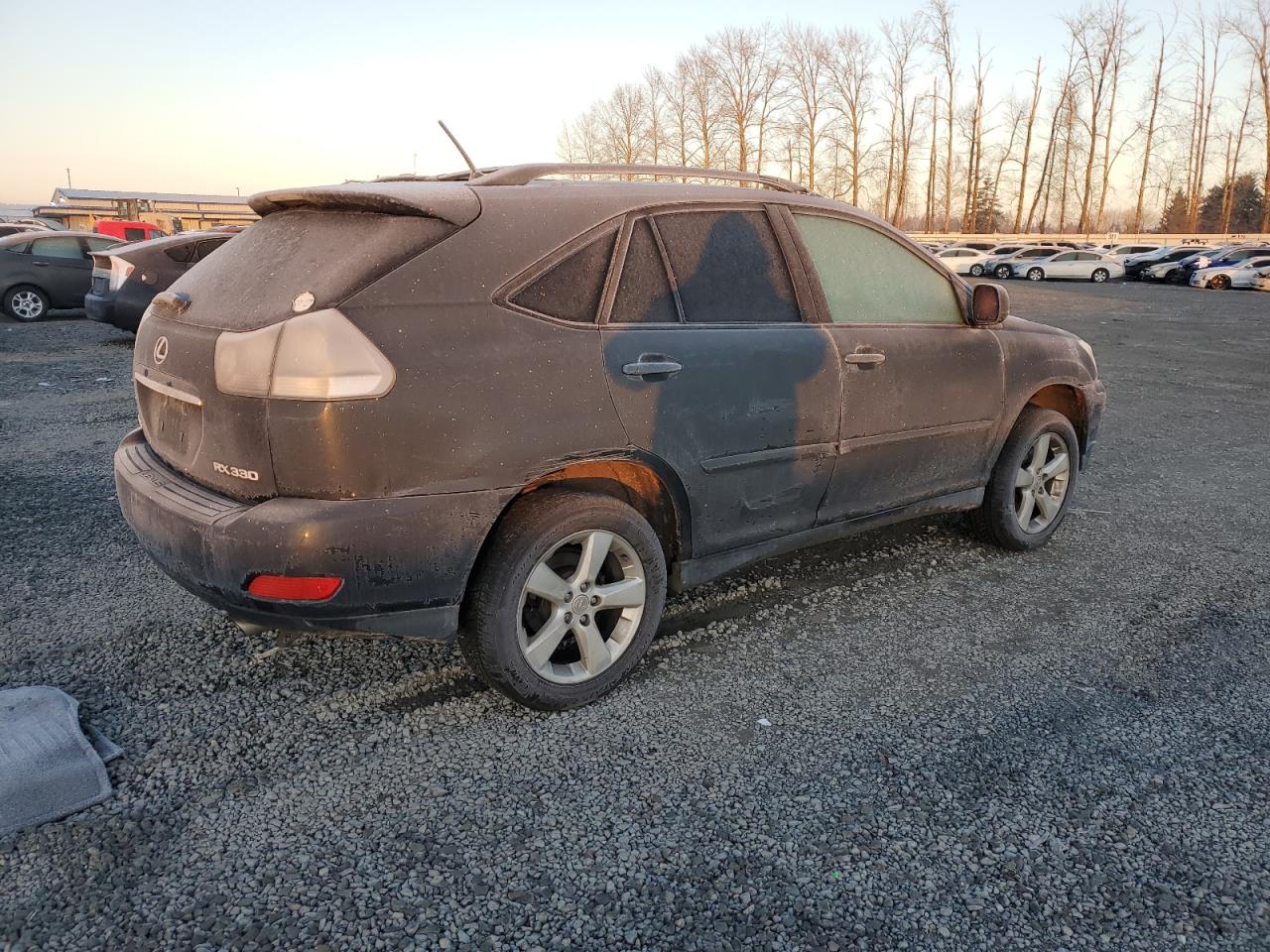 Lot #3023392313 2005 LEXUS RX 330