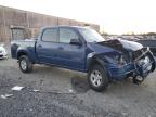 Lot #3024050276 2005 TOYOTA TUNDRA DOU