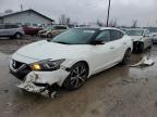 2017 NISSAN MAXIMA 3.5 - 1N4AA6AP5HC391503
