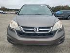 Lot #3027157290 2010 HONDA CR-V LX