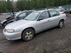 Lot #3034737659 2003 CHEVROLET MALIBU