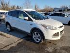 Lot #3023905280 2014 FORD ESCAPE SE