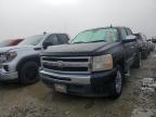 Lot #3040961477 2010 CHEVROLET SILVERADO