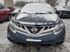 Lot #3024996237 2014 NISSAN MURANO S