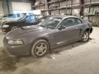 Lot #3028390856 2003 FORD MUSTANG