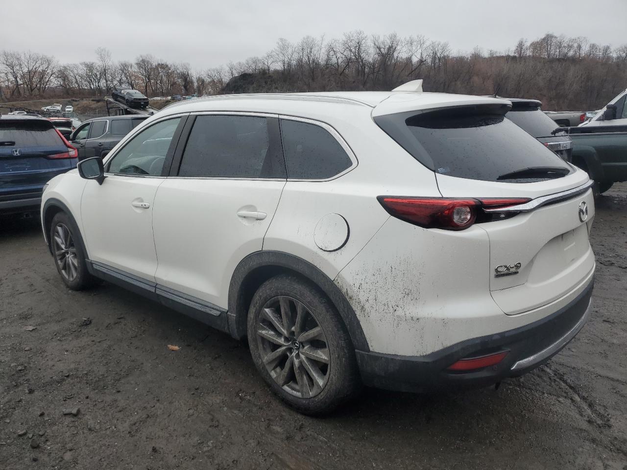 Lot #3048481885 2020 MAZDA CX-9 SIGNA