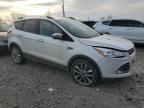 Lot #3024529400 2014 FORD ESCAPE SE