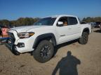 2021 TOYOTA TACOMA DOU - 3TMCZ5AN6MM414591