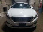 Lot #3024601689 2016 HYUNDAI SONATA SE