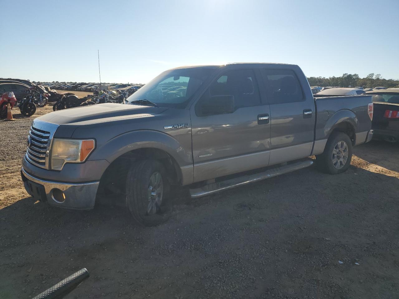  Salvage Ford F-150