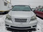 Lot #3027005924 2010 HONDA ODYSSEY EX