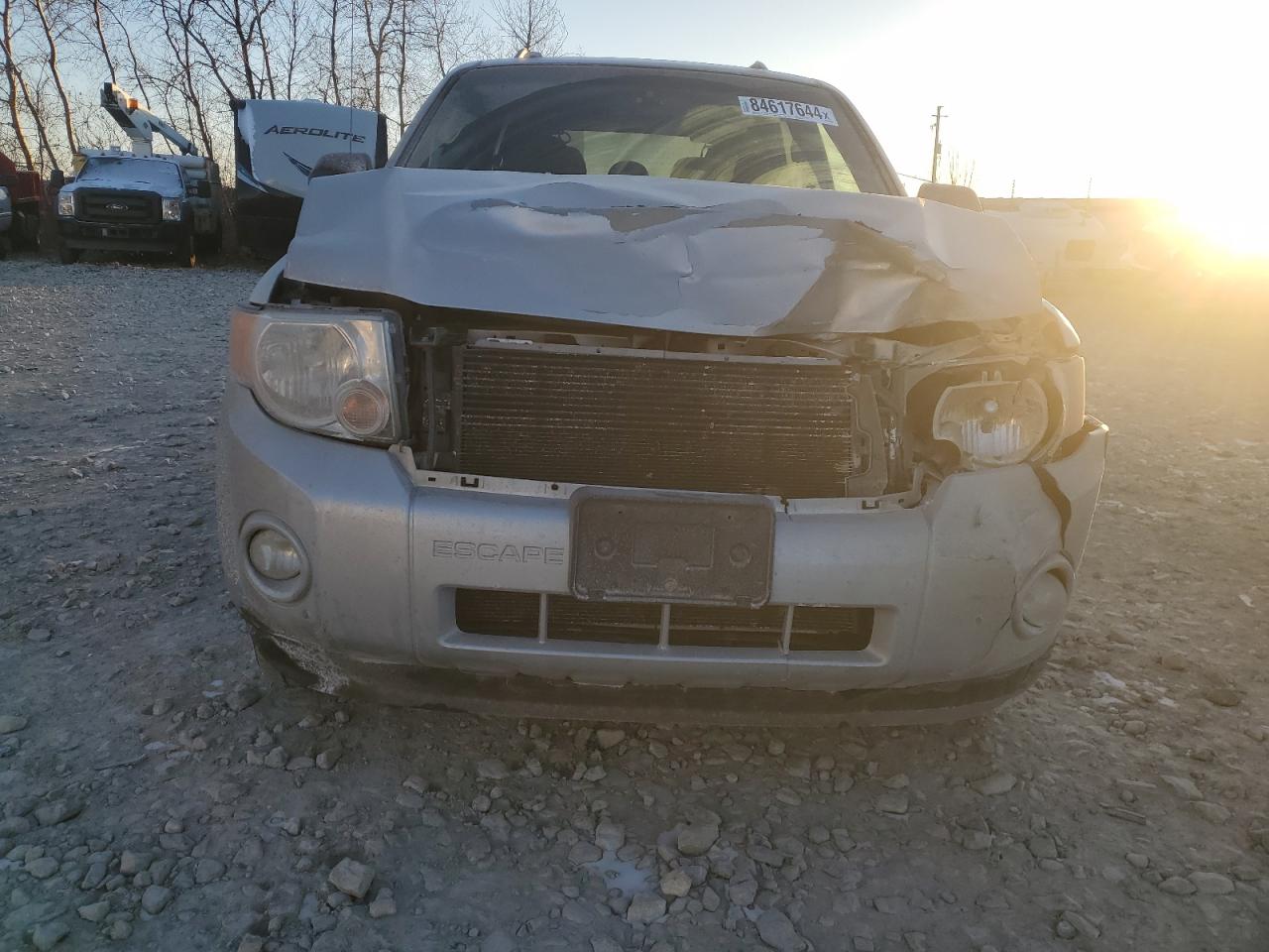 Lot #3034627774 2009 FORD ESCAPE XLT