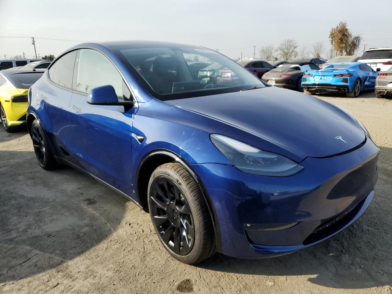 Lot #3034263092 2024 TESLA MODEL Y