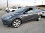 Lot #3024565641 2020 TESLA MODEL Y