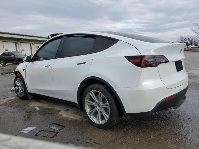 2021 TESLA MODEL Y - 5YJYGDEE7MF255259