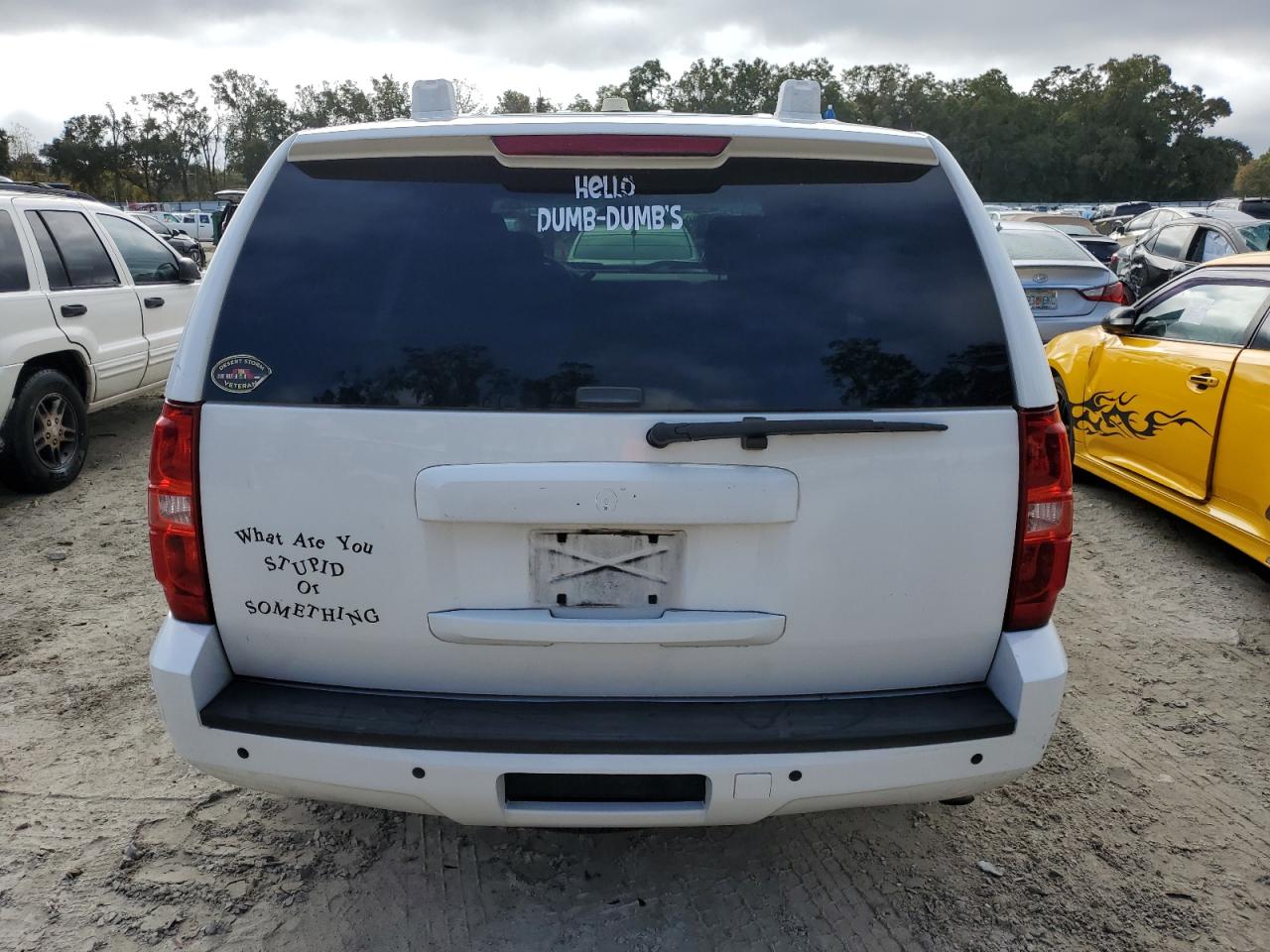 Lot #3028350817 2013 CHEVROLET TAHOE POLI