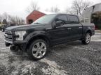 Lot #3024656567 2017 FORD F150 SUPER