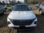 Lot #3024613576 2024 HYUNDAI TUCSON LIM