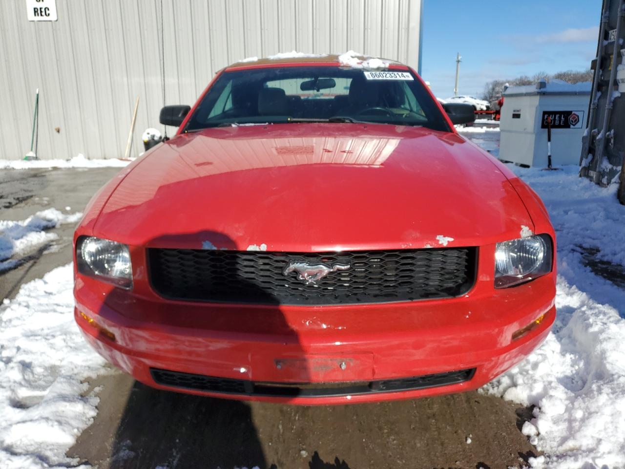 Lot #3030574842 2006 FORD MUSTANG