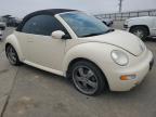 Lot #3024560632 2004 VOLKSWAGEN NEW BEETLE