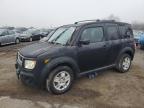 Lot #3023664973 2006 HONDA ELEMENT LX