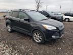 Lot #3023823913 2013 FORD ESCAPE SE