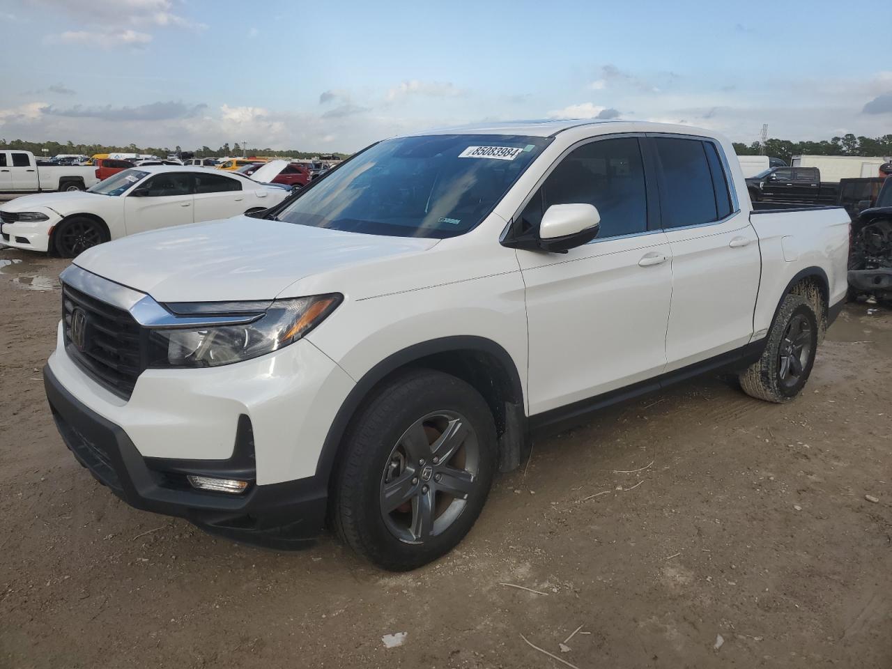 Lot #3029555100 2023 HONDA RIDGELINE