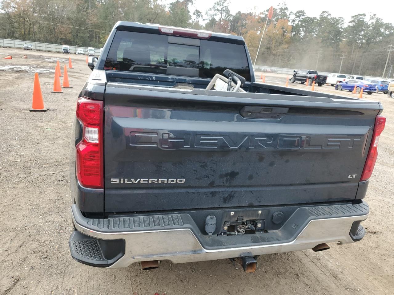 Lot #3042003190 2019 CHEVROLET SILVERADO