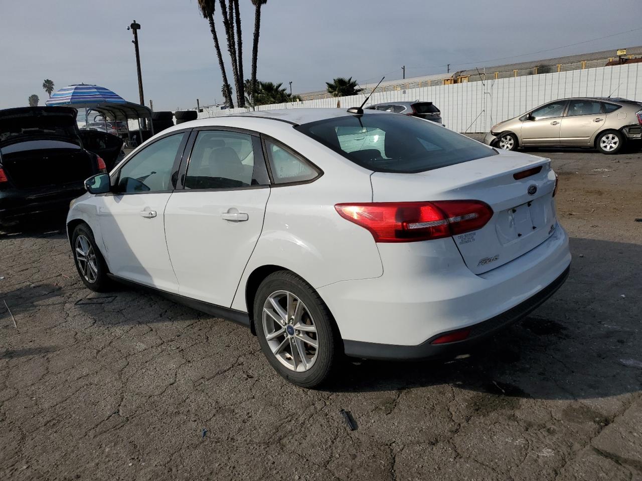 Lot #3034514776 2016 FORD FOCUS SE