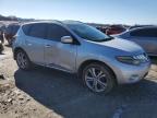 Lot #3026869993 2009 NISSAN MURANO S