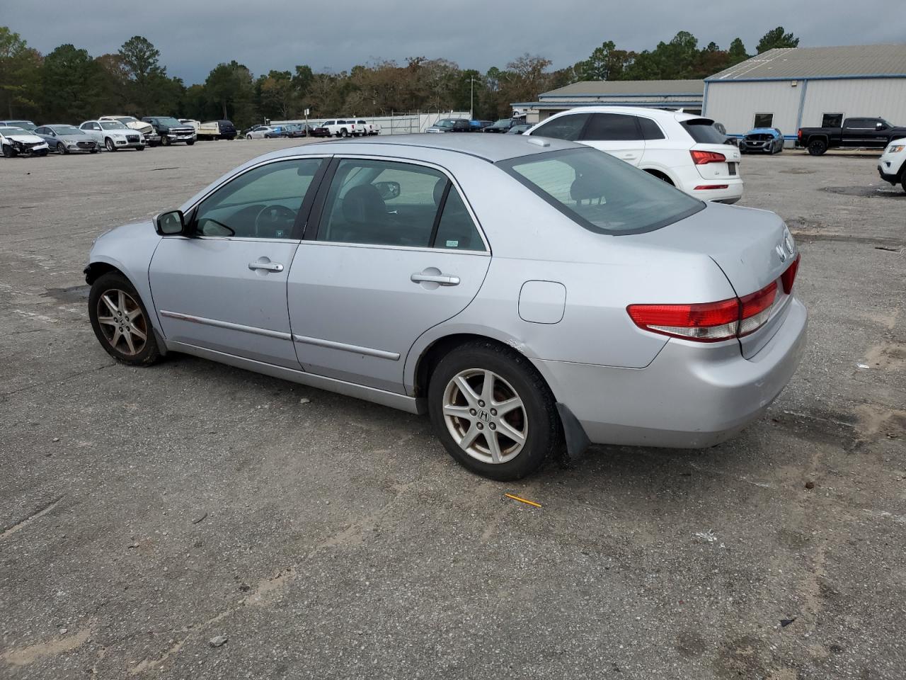 Lot #3034314075 2004 HONDA ACCORD EX