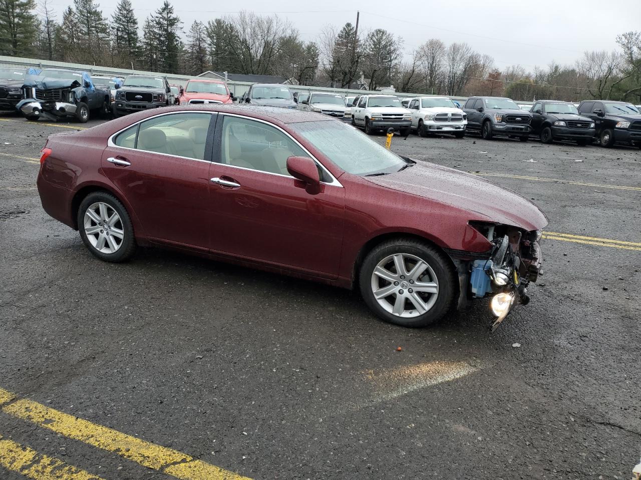 Lot #3030636116 2007 LEXUS ES 350