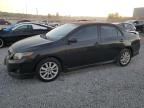 Lot #3029938816 2010 TOYOTA COROLLA BA