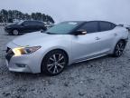 Lot #3034356086 2016 NISSAN MAXIMA 3.5