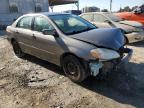 Lot #3024565628 2008 TOYOTA COROLLA CE