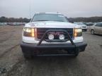 Lot #3024580597 2009 GMC SIERRA K15