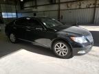 Lot #3020343466 2007 LEXUS LS 460