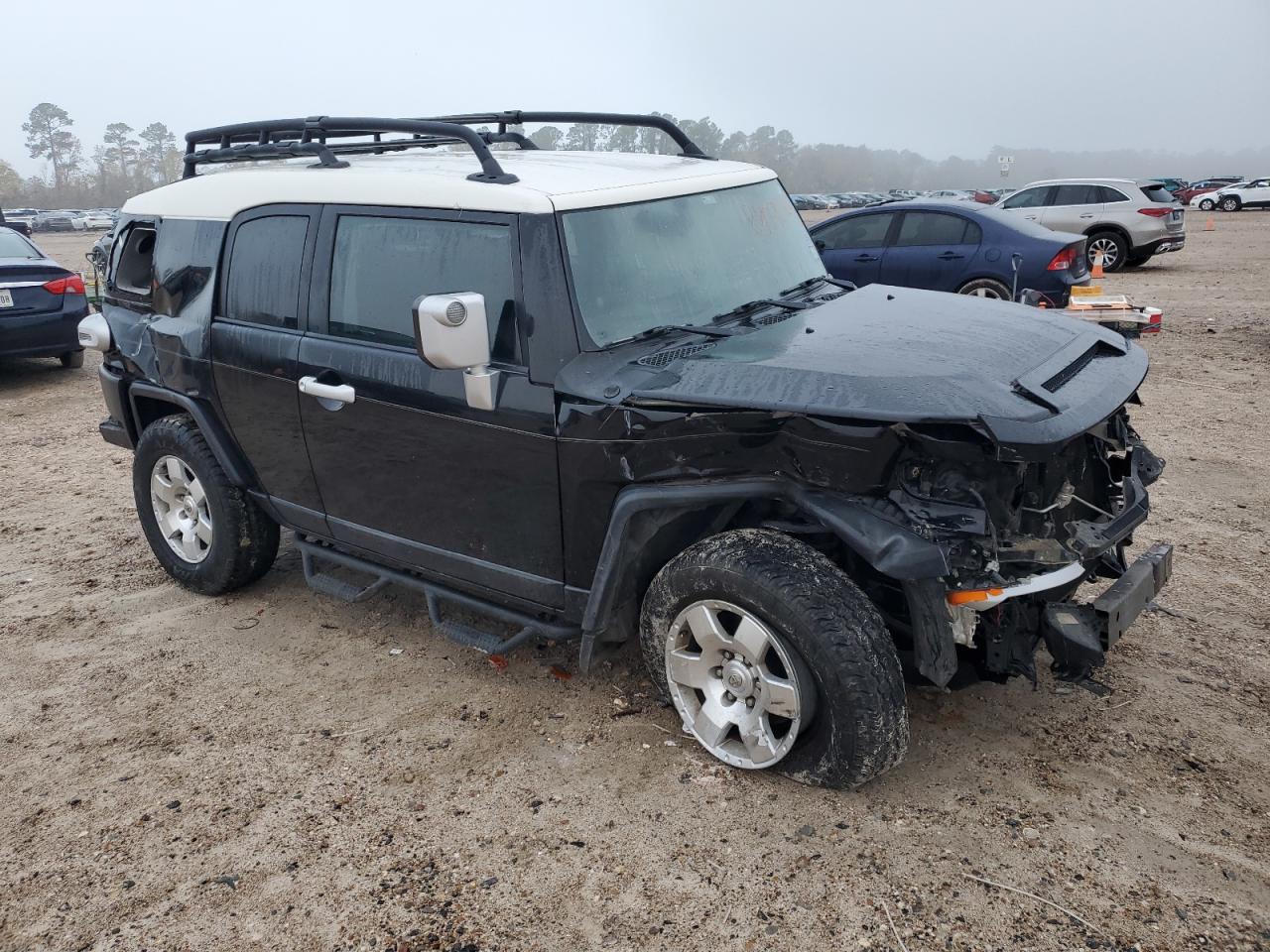 Lot #3034480761 2010 TOYOTA FJ CRUISER