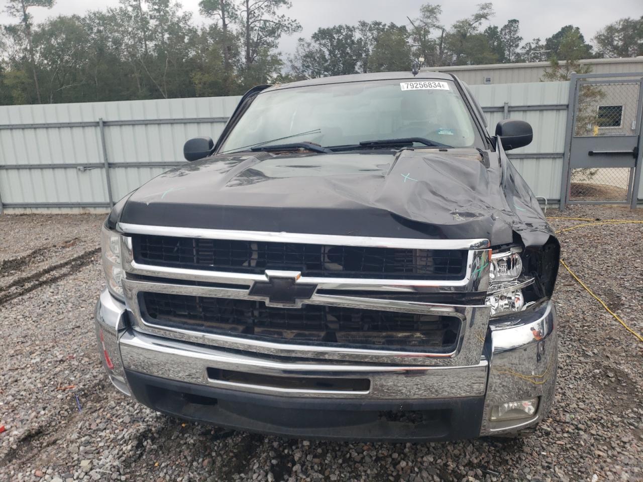 Lot #3034430783 2009 CHEVROLET SILVERADO