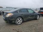 Lot #3033596183 2008 NISSAN ALTIMA 3.5