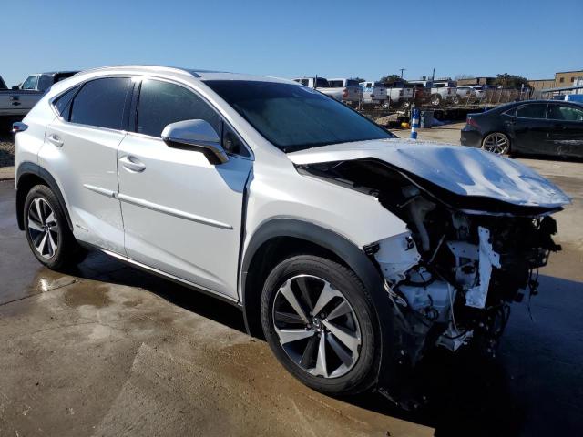 2019 LEXUS NX 300H - JTJBJRBZ7K2114913